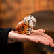 Jiewu purple clay tiger tea pet tea table ornaments high-end can be raised for the Year of the Tiger tea ceremony tea play tea table tea art trinkets Tiger and Tiger Shengwei Tea Pet