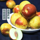 Hebei Huanghua big winter jujube 500g single fruit 16g