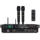 MICGRS professional pre-amp effector with wireless microphone engineering box conference home ktv singing amplifier 5.1 amplifier home theater anti-howling equalization adjustment audio processing EX20M