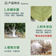 Guoguang Pucai 29% lime sulfur mixture orchard garden clearing agent scale insect red spider powdery mildew pesticide miticide fungicide 1000g