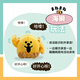 §ぬくい～ず OST小羊肖恩 电动毛绒玩具 儿童玩具 七夕节礼物