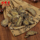 Fuxitang Panax Notoginseng Slices Panax Notoginseng Scheiben Yunnan Wenshan Panax Notoginseng Chinesische Kräutermedizin Panax Notoginseng Slices 100g*1 Dose (lackierte Verpackung) in mehreren Lagerhäusern versendet