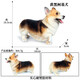 Oenux仿真宠物狗狗玩具塑胶模型摆件野生动物大小犬实心儿童学习玩认知 M-691大号站立斑点犬