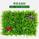Huawoli simulated lawn (with flowers Eucalyptus 40*60) simulated plant wall green plant wall fake lawn turf wall decoration
