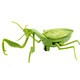 Fernbedienung Mantis Elektrische Simulation Kinderspielzeug Streich kreativer Kakerlake 3 Jungen können kriechende kleine Tiere Fernbedienung Ladybug rot 9922+ Schrauben Standard Match