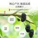 Chen Yifan dried mulberries, selected Xinjiang origin super large fruit no-wash ready-to-eat black mulberries, paired with wolfberry health tea 180g