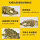 National Geographic National Geographic en peluche Toy Animal Crocodile Doll Parent-Child Plux Toy Birthday's Gift's Gift's