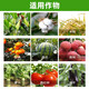 3% sodium nitrate, sodium nitrophenolate, vegetable tomato plant growth regulator, general pesticide, flower promotion and fruit preservation 500ml