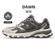 Camel (Camel) Dawn Sports Schuhe für Frauen Retro Casual Jogging Shoes x23C09l7001 Grün 38