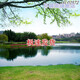 新直播背景视频直播间主播山水田园外景快手抖音网红背景布 11149 宽1.5米高2米