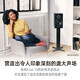 丹拿（DYNAUDIO） 新意境New Emit 20 HiFi无源高保真书架音响功放套装发烧音箱 New Emit 20+NAD C368