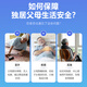 El cuidado de ancianos y el robot inteligente compañero. Los ancianos deben evitar caídas y caídas de alarma. SOS pide ayuda en momentos críticos. Hipertensión Monitoreo de enfermedades crónicas Monitoreo [Starlight Silver] Atención de ancianos y robot complementario
