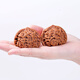 Caihe Wenwan Walnut Official Hat Walnut Wenwan Antique Walnut Wang Yong 44-45MM Linlin Pattern