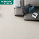 Romantic 2023 Nouveau style moderne carreaux anciens gris simples 750 * 1500 Texture de ciment carreaux de sol doux saranto rf157h693