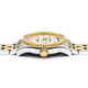 Plum Blossom (Titoni) Swiss Watch Universe Series Automatic Mécanical Room Gold Steel Band Importé Men's Watch 797SY-695 Gift For Boyfriend