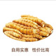 Cordyceps sinensis (unterstützt Qualitätsinspektion) schneebedeckte Cordyceps sinensis gebrochenes Gras Vollfleisch reines Fleisch Festival Cordycep