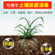 Hymexazole fungicide orchid soil disinfection succulent root rot black spot black spot orchid root rot special pesticide pesticide fungicide 30g
