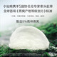 小仙炖鲜炖燕窝 钻石碗60g*7瓶 周套餐 冰糖款 现炖现发15天保鲜