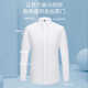 CEO Yageo Men's Long Sleeve Shirt New Business and Casual No-Iron Solid Color Professional Formal Shirt 38 Weight about 11 6623 38 Weight about 115-120 Jin [Jin equals 0.5 kg]