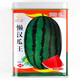 Shouhe Lazy Man Watermelon Seed Lazy Man King Watermelon Seed 100g Canned