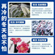 Huaneng plant rape antifreeze liquid fruit tree cold protection plant cold resistance vegetable antifreeze warm anti-cold anti-freeze anti-freeze liquid