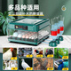 Water bed duck goose small rutin chicken incubator egg incubator egg incubator incubator small household type fully automatic intelligent 24 fully automatic single electricity (display temperature + number of days)