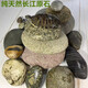 Runhuanian turtle basking platform stone climbing platform flat pebble turtle tank floating island basking stone fish tank 2 pieces 7-9cm