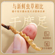 Yunnan Baiyao Cordyceps Box 4 Pieces/G*20g Cordyceps liofilizado Caja de regalo 80 Caja de regalo de alta gama integral para dar regalos a los líderes