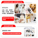 Laiwang Brothers pet shaver, pet store special high-power dog electric hair clipper, beauty supplies 6mm hair retention