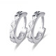 Nilan platinum earrings PT950 earrings for women with platinum carvings PT999 platinum earrings circle earrings PT950 platinum earrings pair about 1.2g + certificate