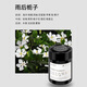 Jiang Xiaoxun car aromatherapy fragrance deodorizing and aldehyde solid car balm car perfume ornaments Gardenia