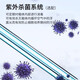 一恒电热恒温培养箱DHP/BPH系列精密微生物细霉菌种子发芽箱实验室 DHP-9902（立式）