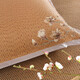 Hengyuanxiang Ice Vine Pillow Case Ein-Pair-Sommeröffnungskissenkoffer cool und erfrischend Kissengehäuse High-End-Eis Vine-Chinese-Stil 688 Kaffee 48*74 cm (Paar)
