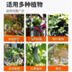 Yuntian diammonium phosphate agricultural chemical fertilizer phosphate fertilizer compound fertilizer general dian for vegetables, flowers and fruit trees diammonium phosphate (high concentration) 10Jin Jin equals 0.5kg