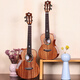 Ajima ajima voll einzelner Tiger Muster Acacia Holz Vollende einzelne studentische Kinder Kinder Kleine Gitarre A6 Anfänger Ukulele Helles Modell 26-Zoll Original-Soundmodell