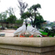 Huixiang creative outdoor garden courtyard balcony decorative ornaments handicrafts simulation animal sculpture dove ornaments a pair of white doves