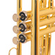 SAIDESEN B-flat trumpet instruments for beginners and professional performances Monel Pistons Students and adult Western wind music Golden version STR-100