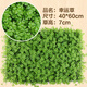 Doutu Gardening Green Plant Wall Simulated Plant Turf Wall Decoration Indoor Background Flower Wall Green Wall Hanging Plastic Fake Lawn Door Head Lucky Grass