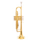 SAIDESEN B-flat trumpet instruments for beginners and professional performances Monel Pistons Students and adult Western wind music Golden version STR-100