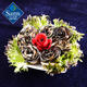 Haimingwei New Zealand black gold abalone