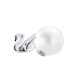 Swarovski SWAROVSKI Gradient Swan Stud Earrings 5215037