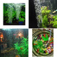 西龙 鱼缸增氧泵 大气量水族箱气泵 水族冲氧泵 小型养鱼氧气泵 AD1000电池6W气量2*4L/min