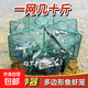 Fishing net, shrimp pot, fishing pot, artifact to catch eel pot, square shrimp pot, shrimp net, shrimp pot, umbrella cage, fish pot, net cage, fish pot, square 6 holes-50cm, free 10 packs of bait + accessories
