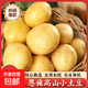 Enshi small potatoes, sun-dried, freshly dug, yellow-skinned mini potatoes, glutinous alpine potatoes, Marco potatoes, 2Jin Jin equals 0.5kg - large fruit - duck egg size (with box)