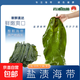 Xiapu fresh kelp, kelp silk, kelp head, hot pot stew and cold salad, salted whole kelp, 5 Jin Jin equals 0.5 kilogram (2500g)