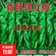Spicy Spicy Pepper Seeds, Golden Spicy Green Peppers, Pig Intestine Chili Seeds, Potted Vegetable Seeds for Garden Fields and Balconies, Spicy Spicy Peppers, Early Mature Large Fruits, About 500 Capsules, 5 Packs