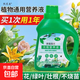 Nutrient solution plant general flower fertilizer fortune tree rich bamboo green dill hydroponic potted household flower flower fertilizer general type 500 ml bottle