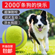 Dog toy ball edge Mu Kejin fur dog walking dog training dog special bite-resistant molar puppy pet dog tennis ball pet dog tennis ball-yellow-1