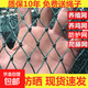 Chicken net, chicken net, fishing net, breeding net, fence net, nylon vegetable garden fence, climbing vine grid, chicken net, protective fish net, thickened 18 strands, 3 cm thickened ribs, 2 meters high and 100 meters long