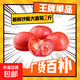 Fresh large tomatoes with raw pulp, tomatoes for weight loss, breakfast, ready-to-eat, fresh vegetables, single fruits, 100g, best-selling pack, 2Jin Jin equal to 0.5kg, with box